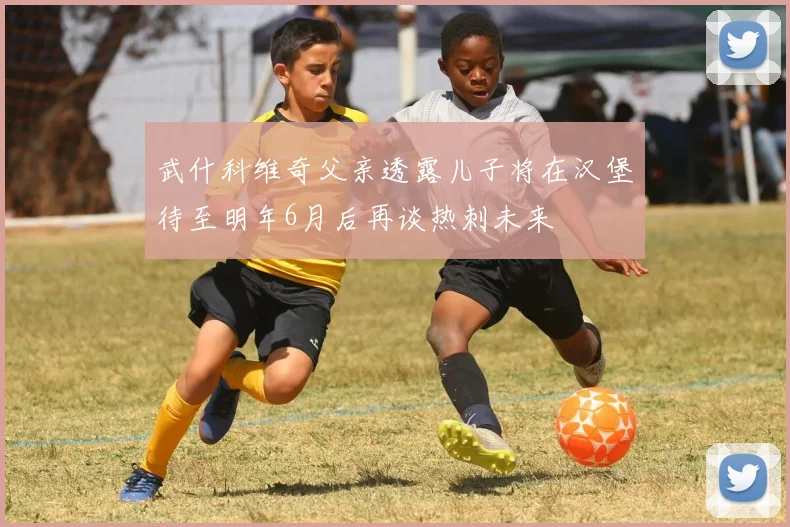 武什科维奇父亲透露儿子将在汉堡待至明年6月后再谈热刺未来