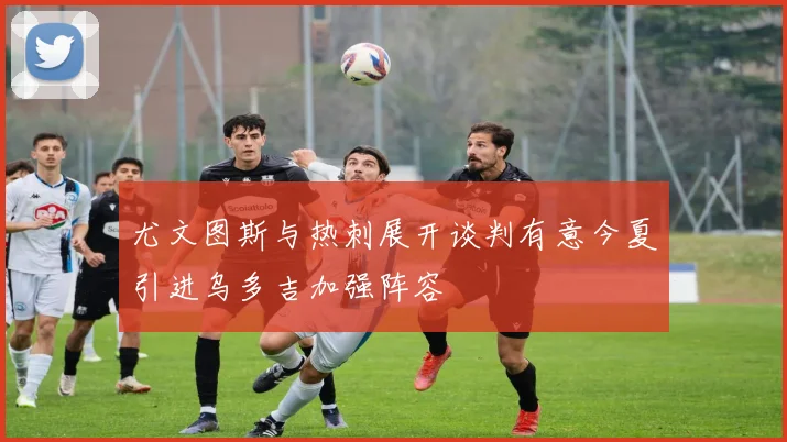 尤文图斯与热刺展开谈判有意今夏引进乌多吉加强阵容