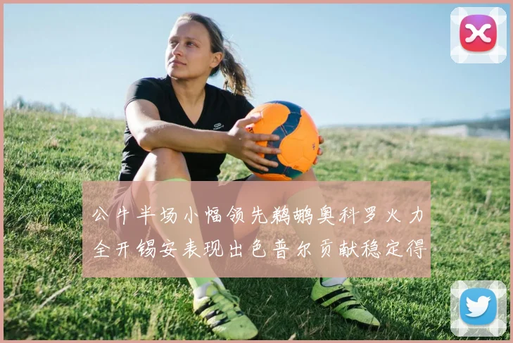 公牛半场小幅领先鹈鹕奥科罗火力全开锡安表现出色普尔贡献稳定得分
