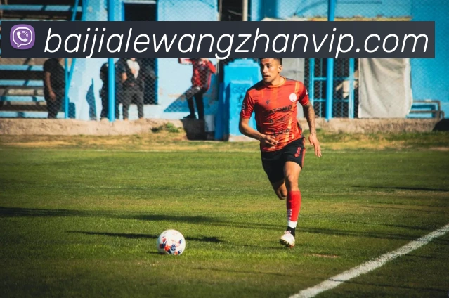 百家乐网站平台生态图